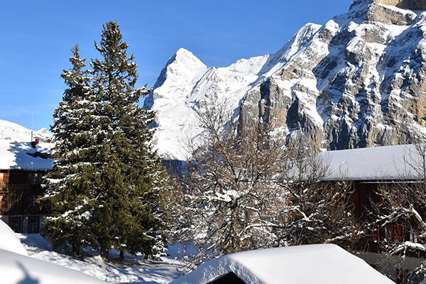 Eiger, Winter 2013